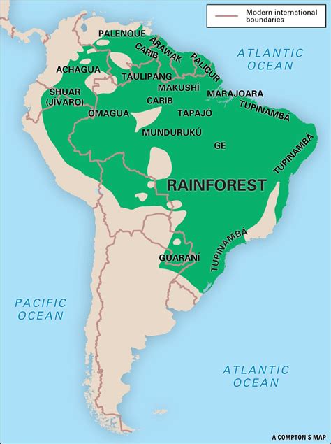 amazon jungle wikipedia|amazon rainforest biome map.